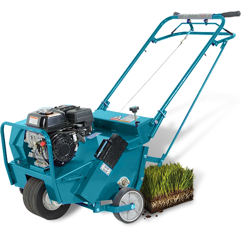 Aerator and Grass